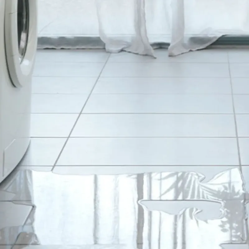 Appliance Leak Cleanup in Bland County, VA