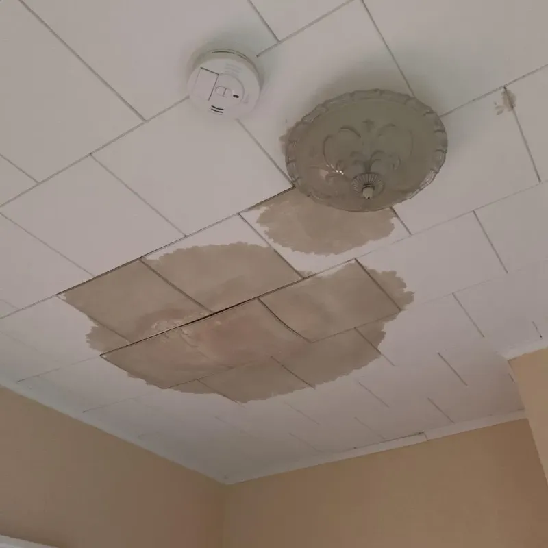 Ceiling Water Damage Repair in Bland County, VA