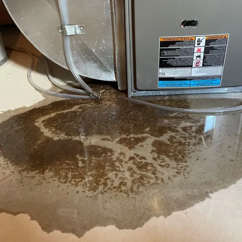 Pipe Burst and Leak Restoration in Bland County, VA