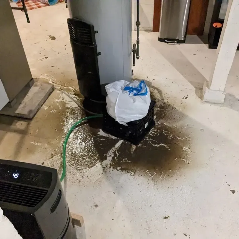 Sewage Backup Cleanup Service in Bland County, VA